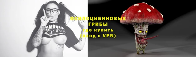 сатива Кинешма